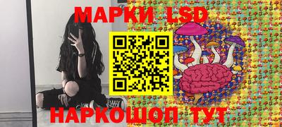 СК Кандалакша