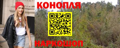 каннабис Камышлов
