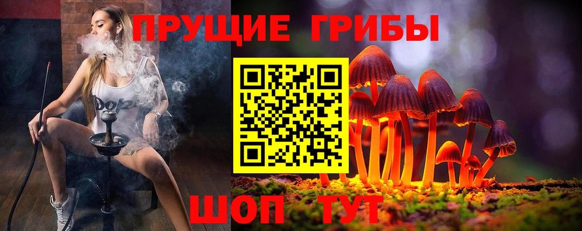 Кропоткин  купить закладку  Вход с VPN  Псилоцибиновые грибы мицелий 
